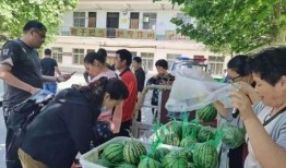 泗阳网红街吃瓜群众事件,一场网络舆论的风暴与反思