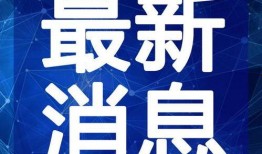 新东方深夜爆料视频最新,教育行业背后真相曝光