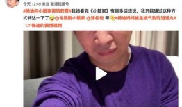 三号家庭母亲爆料视频,揭秘家庭矛盾背后的真相