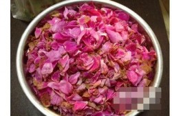 娱乐吃瓜酱玫瑰,玫瑰背后的故事揭秘