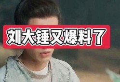 刘大锤八点爆料视频在线观看,揭秘幕后真相，精彩内容抢先看