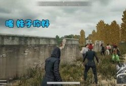 砀山最新事件爆料,揭秘背后真相，引发社会关注