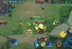 王者爆料老白是谁啊视频,王者爆料视频中神秘人物“老白”的真实身份