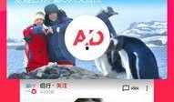 综艺吃瓜素材视频下载免费,免费素材视频下载攻略